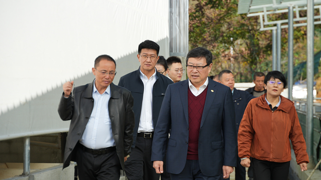 中國有研黨委副書記、總經(jīng)理艾磊赴貴州省思南縣調(diào)研集團(tuán)定點(diǎn)幫扶工作